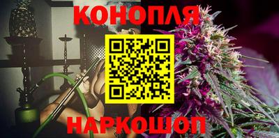 СК Краснознаменск