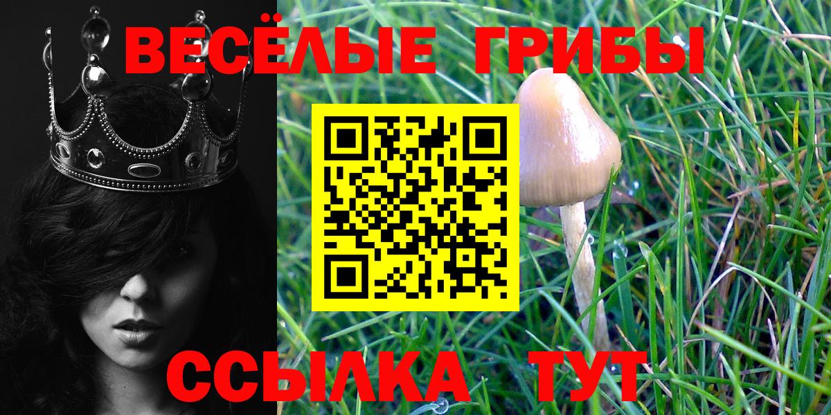 Псилоцибиновые грибы прущие грибы Ивантеевка