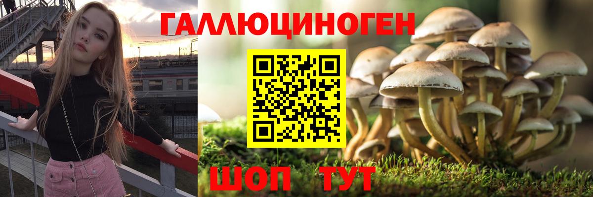 Ивантеевка  Галлюциногенные грибы прущие грибы  Вход с VPN 